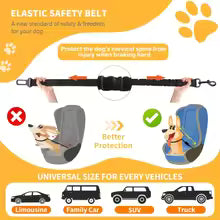 Harnais de Sécurité Réglable pour Chien — Sangle Nylon Élastique Rétractable avec Fermoirs Sécurisés