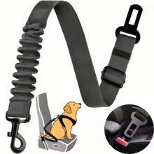 Harnais de Sécurité Réglable pour Chien — Sangle Nylon Élastique Rétractable avec Fermoirs Sécurisés